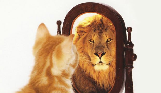 A small orange tabby cat is looking into a large oval mirror and sees a huge fully-mained lion.